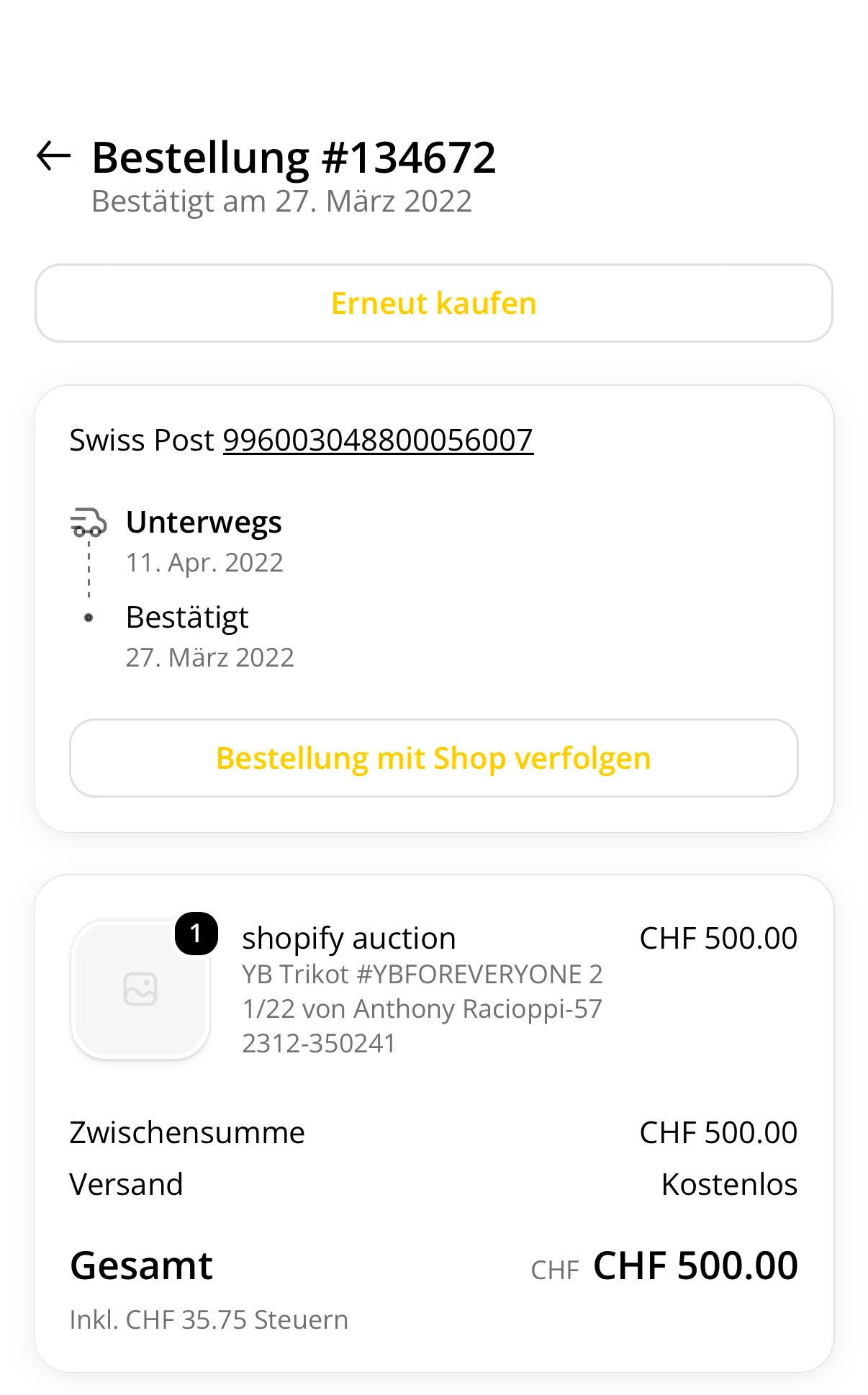 BSC Young Boys - 2021-22 - Porté en match - Gardien - L - Nike - Racioppi #1