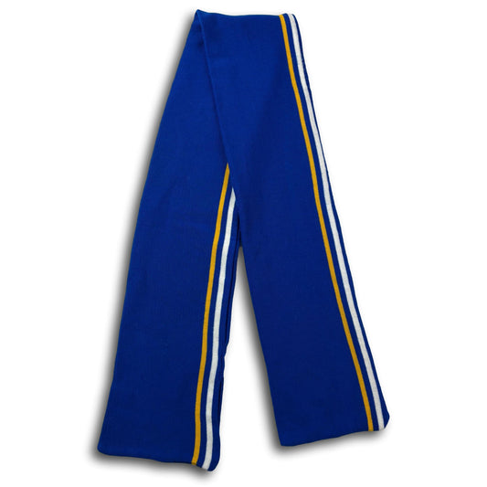 Brighton & Hove Albion - supporters scarf