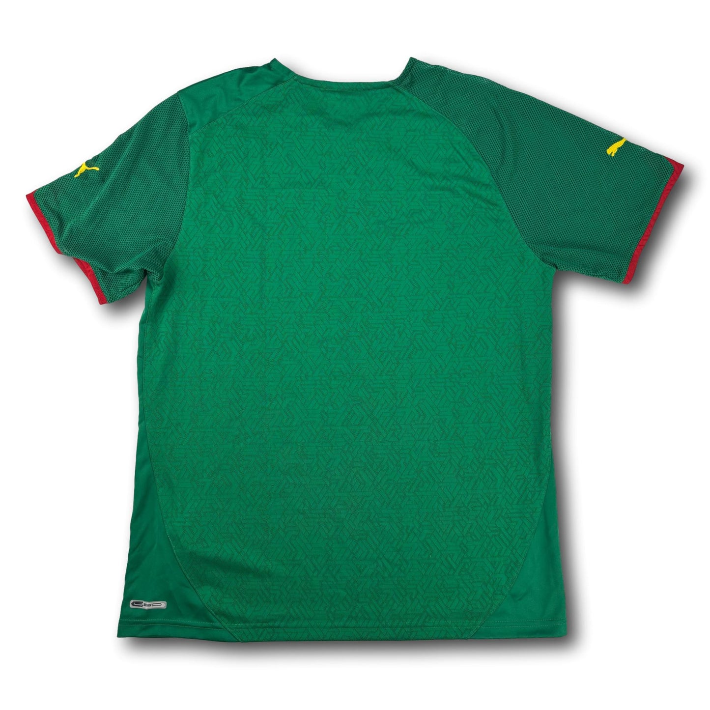 Cameroun - 2010-11 - Domicile - L - Puma