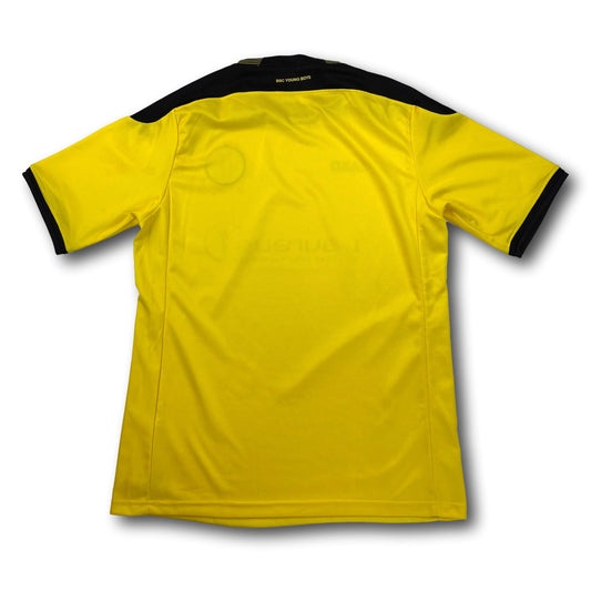BSC Young Boys - 2013-14 - Heim - L - Jako
