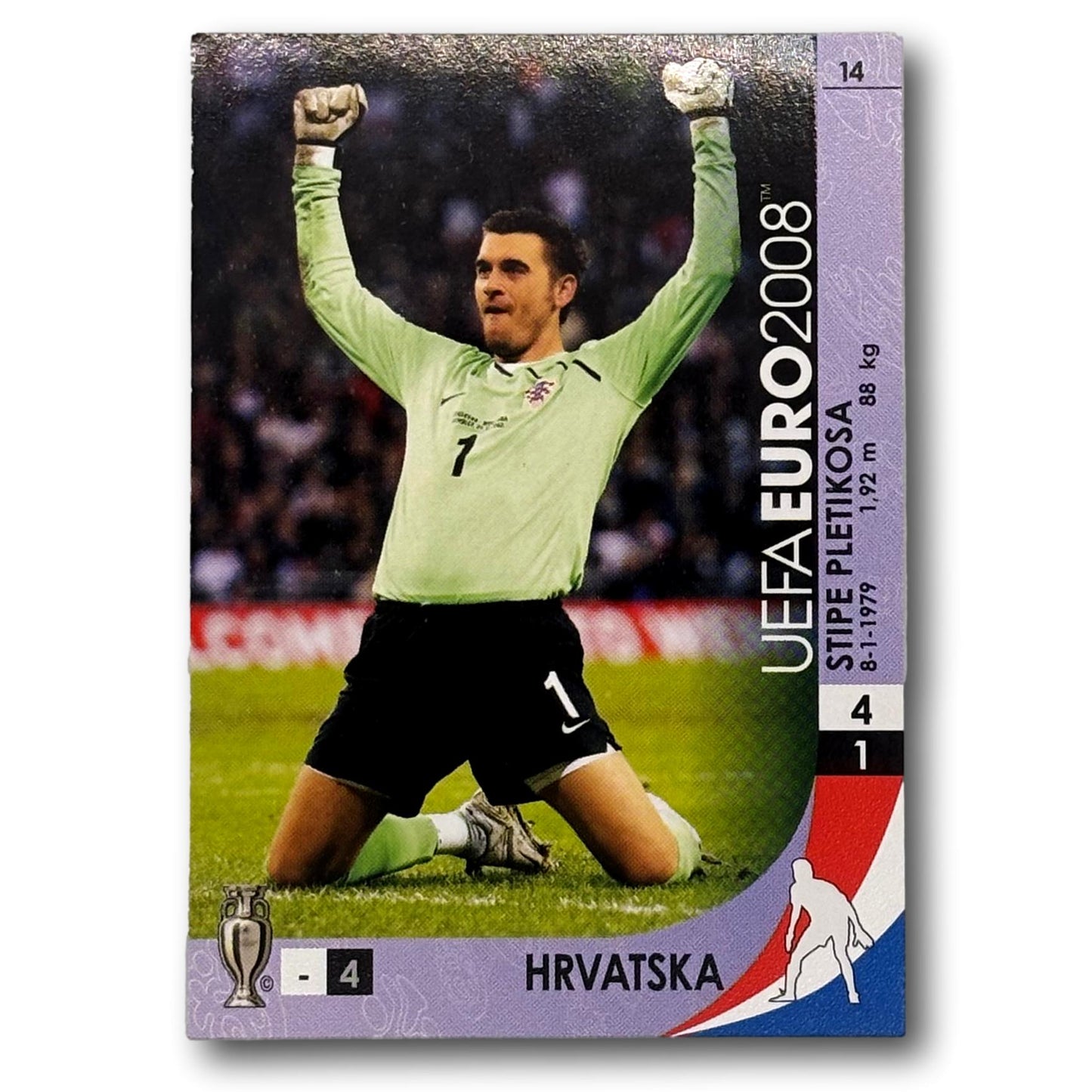 UEFA Euro 2008 - Stipe Pletikosa