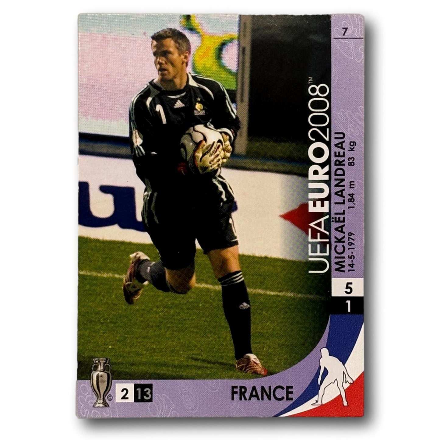 UEFA Euro 2008 - Mickael Landreau