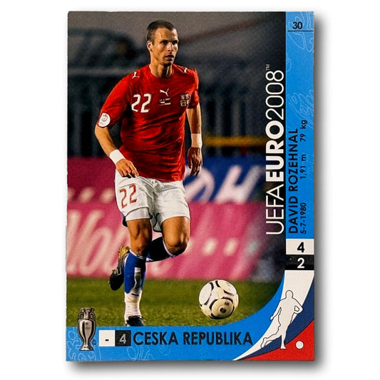 UEFA Euro 2008 - David Rozehnal