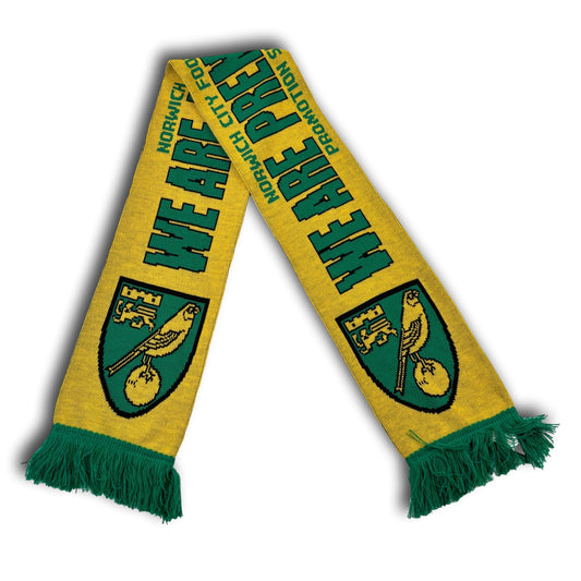 Norwich City fan scarf