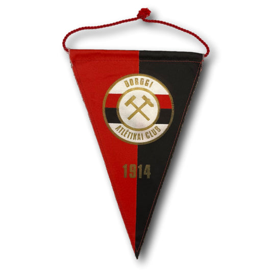 Dorogi FC - Pennant
